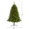 5ft. Pre-Lit Sierra Spruce Artificial Christmas Tree, Clear LED Lights